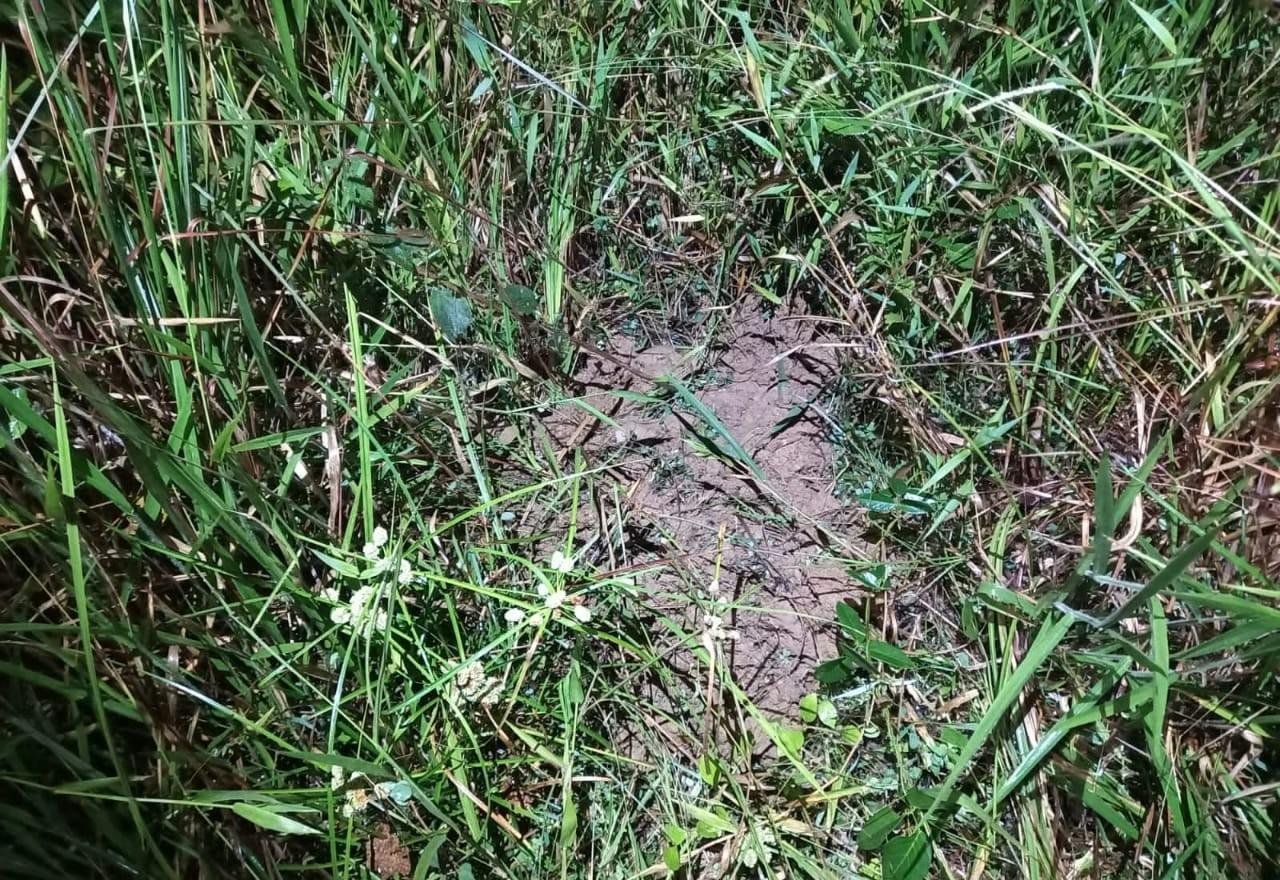 Pai que matou e enterrou corpo de bebê é condenado a 21 anos de prisão | G1