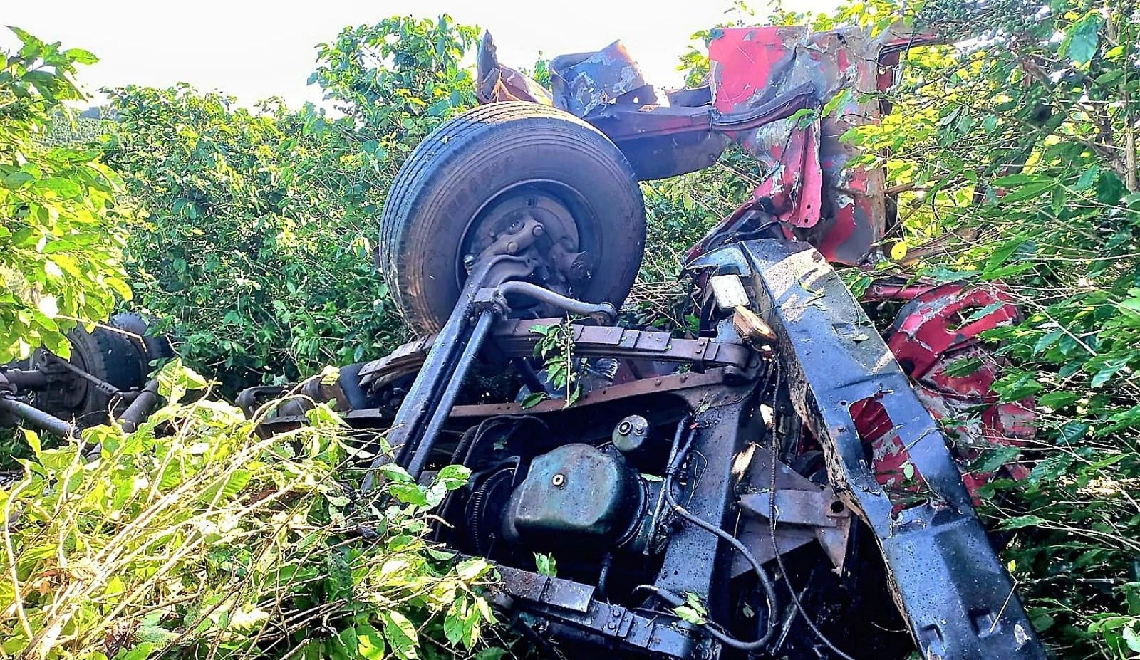 Pai e filho morrem após caminhão capotar na BR-265, em Alpinópolis, MG | G1