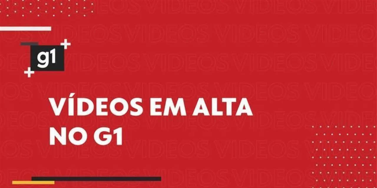 Como fazer a IA dar as melhores respostas; veja dicas de especialistas | G1