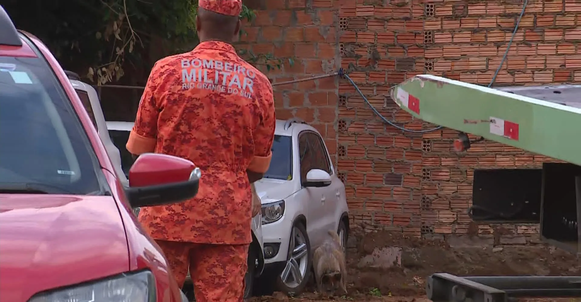 Cães farejadores são usados em buscas a família Aguiar no RS | G1