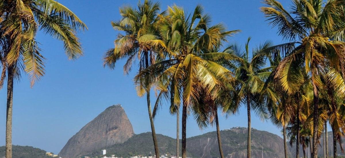 Evento Leituraço ocupará a Praia do Flamengo, no Rio, com autores, troca de livros; conheça