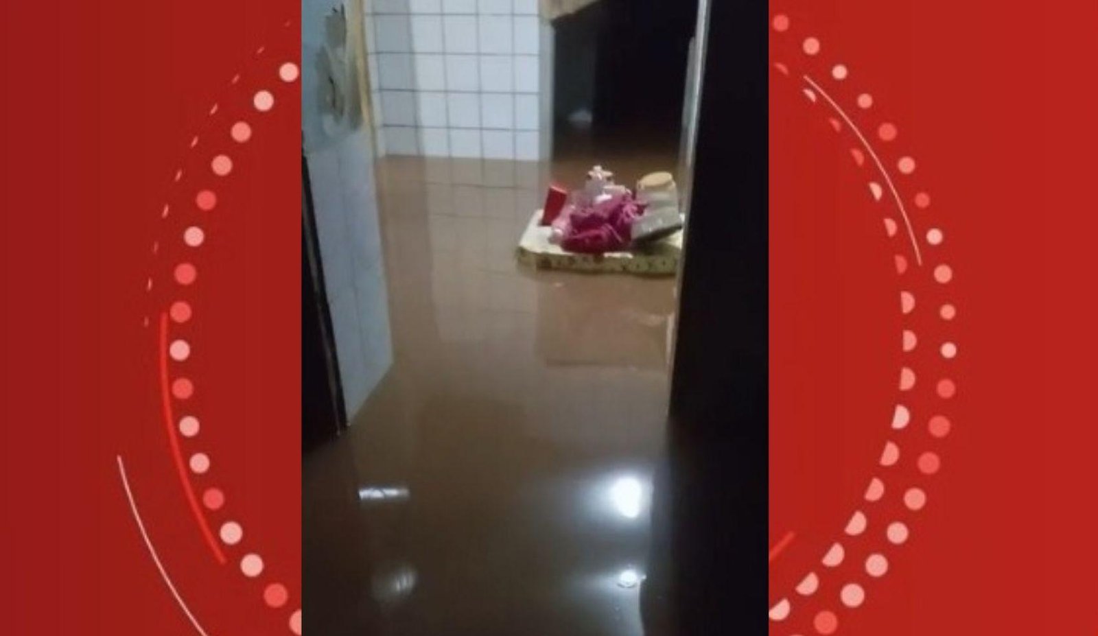 Forte chuva em Salvador causa alagamentos em casas e quedas de árvores | G1