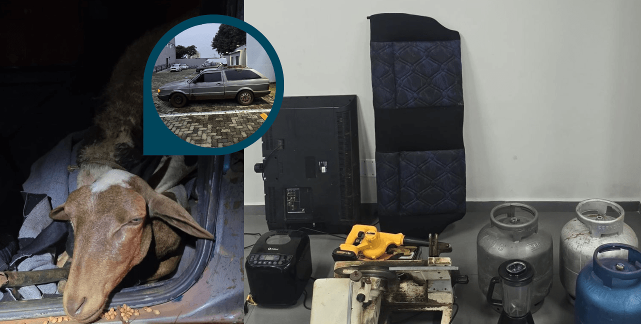 Homem é preso por furtar carneiros, carro e eletrodomésticos em Leme