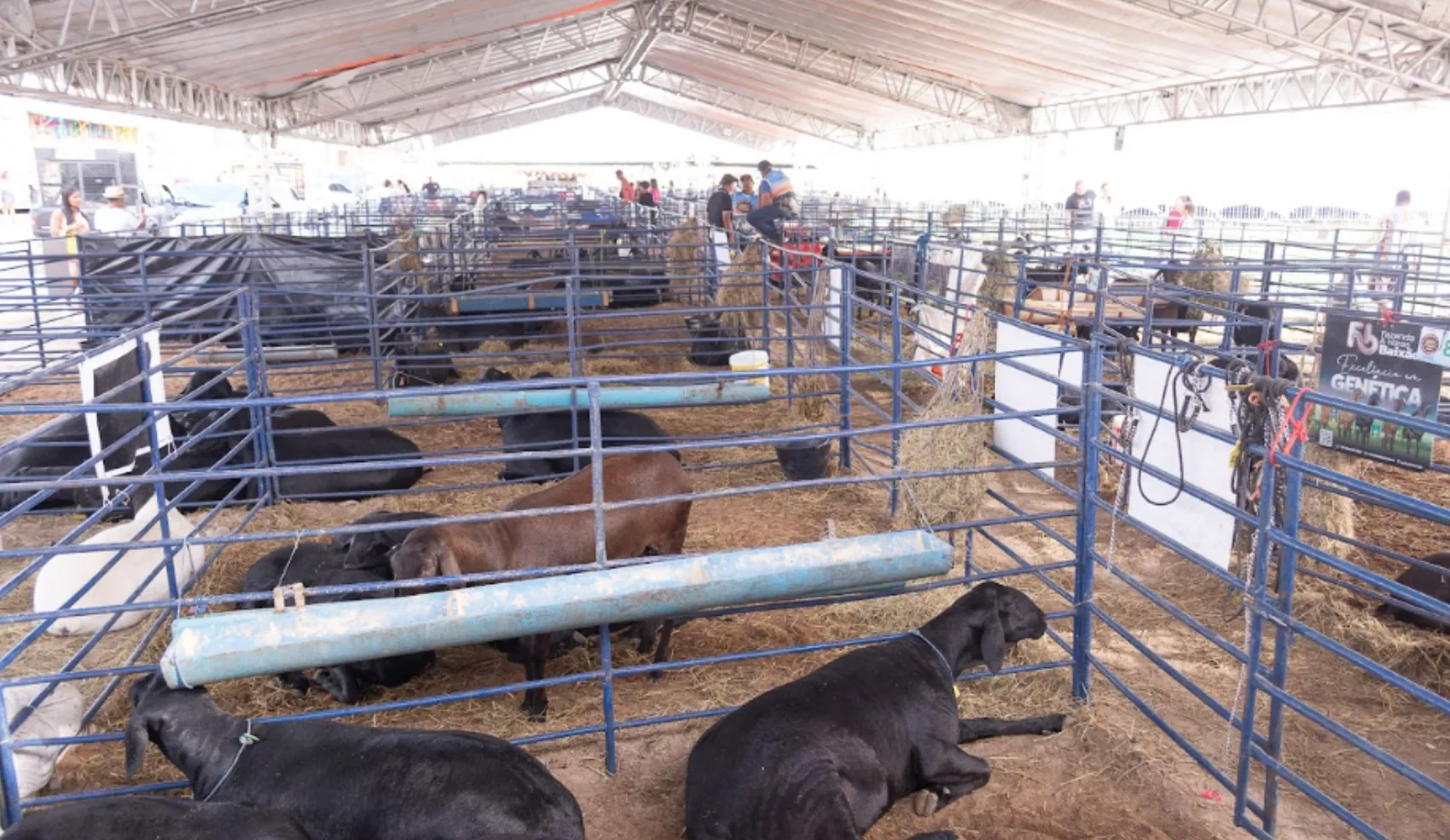 ExpoSerrinha será realizada entre 28 de abril e 3 de maio em novo loca | G1