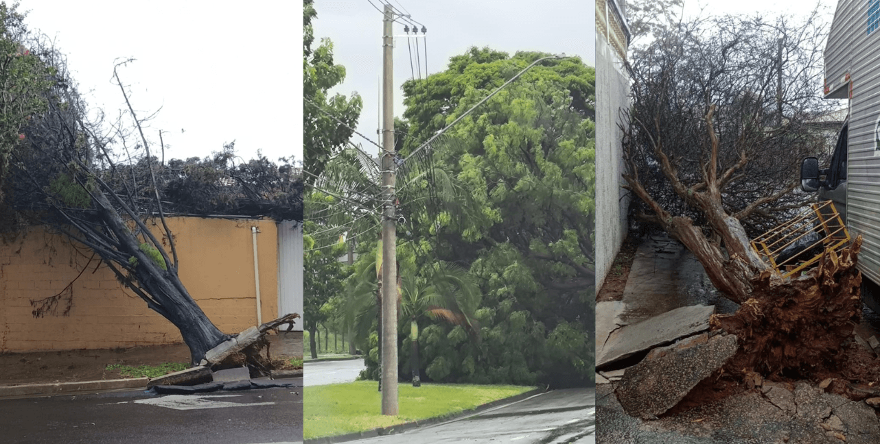 Chuvas fortes causam estragos em cidades da região de Campinas