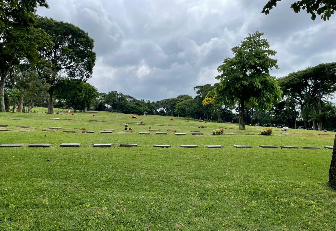 Após exumação, cinzas dos Mamonas são 'plantadas' e virarão árvores em BioParque de Guarulhos