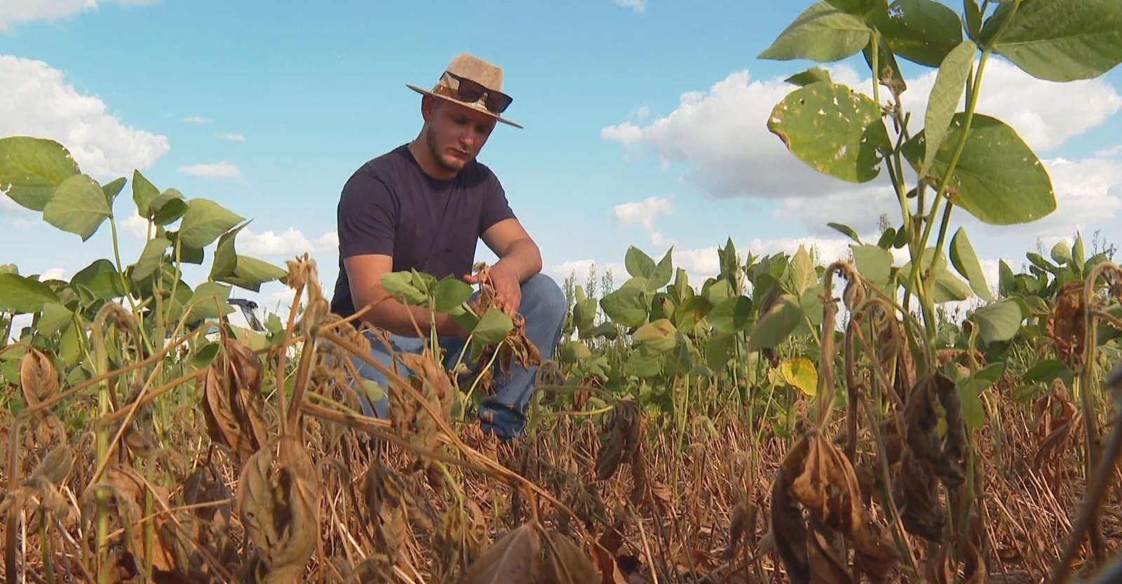 Chuva produzida pela Amazônia vale mais de R$ 100 bilhões por ano | G1