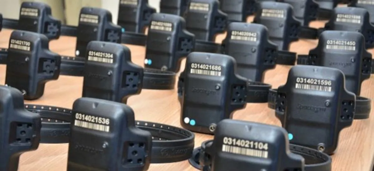 Justiça manda pôr tornozeleira em idoso que não tem as pernas; ‘Como faz isso?’, questiona advogado