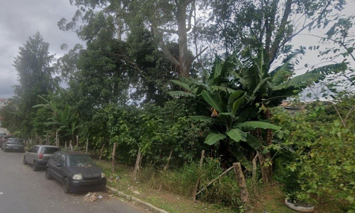 Ossada humana é encontrada em área de proteção ambiental