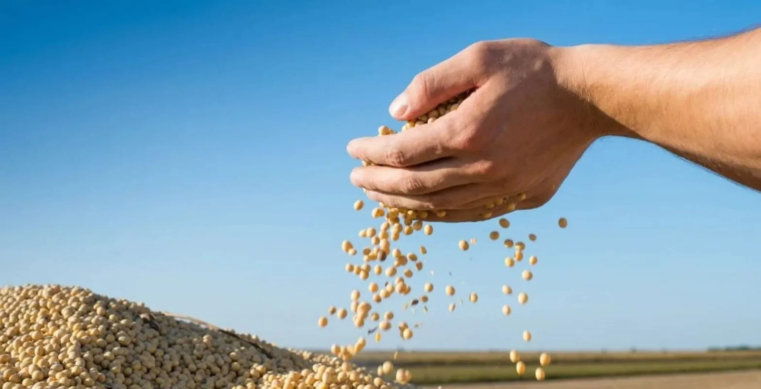 Brasil deve colher maior safra da história com 353,4 milhões de toneladas