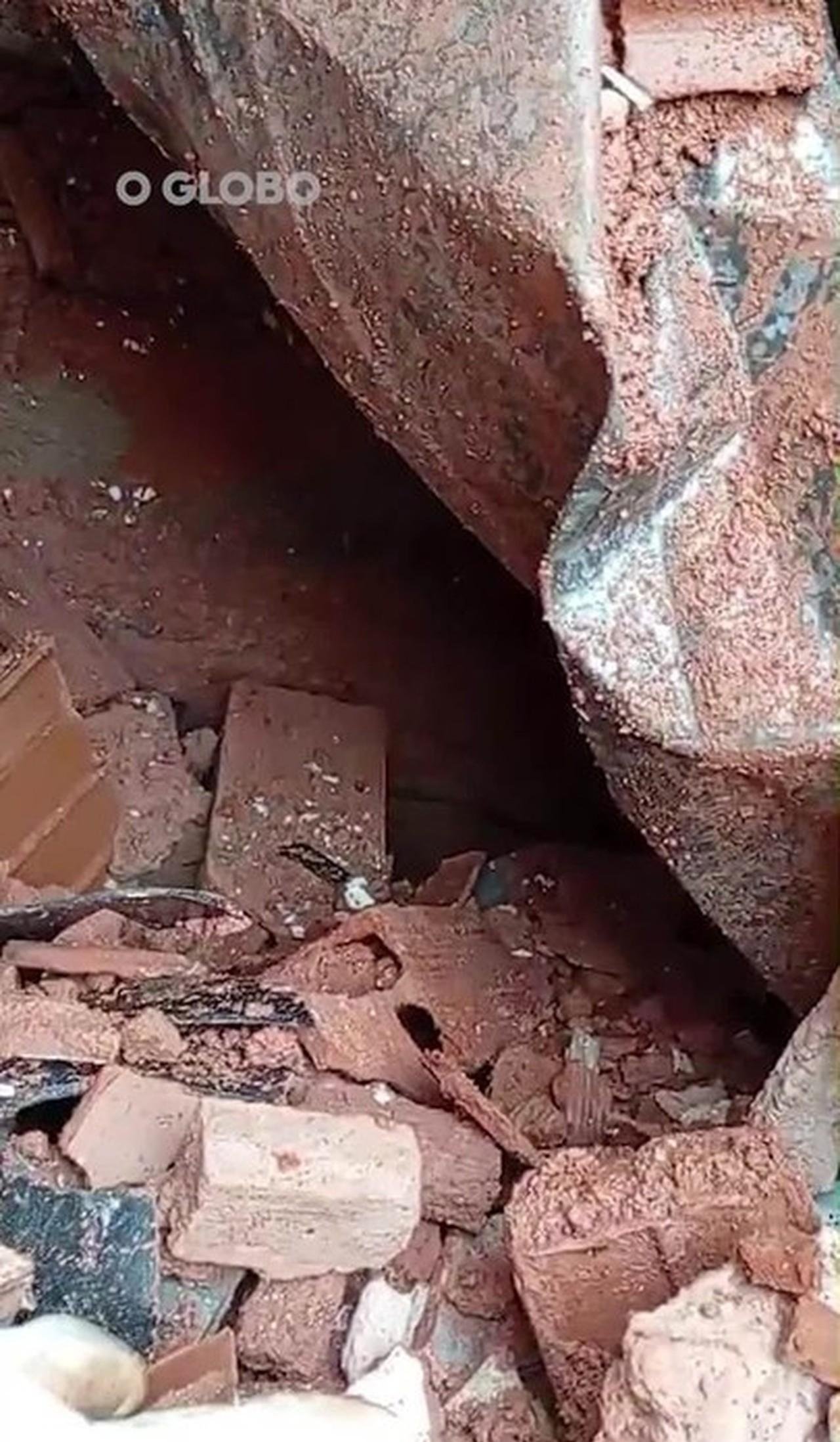 Chuvas em MG: vídeo mostra resgate de cão retirado com vida dos escombros após deslizamento em Juiz de Fora