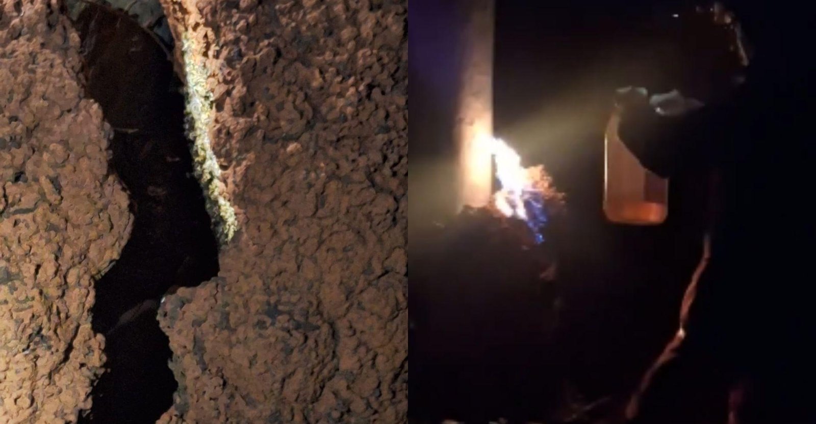 Trabalhador morre após passar mal ao fugir de enxame de abelhas em MG | G1