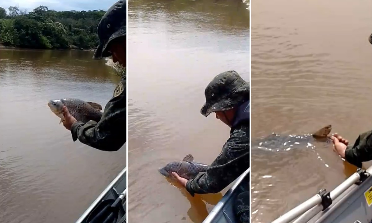 Operação Piracema multa pescador amador e apreende 40 kg de peixes | G1