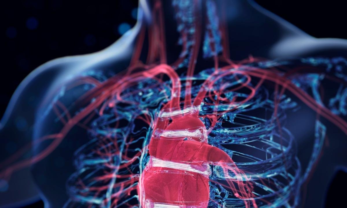 Vai viajar? Médico alerta para riscos vasculares no calor do verão