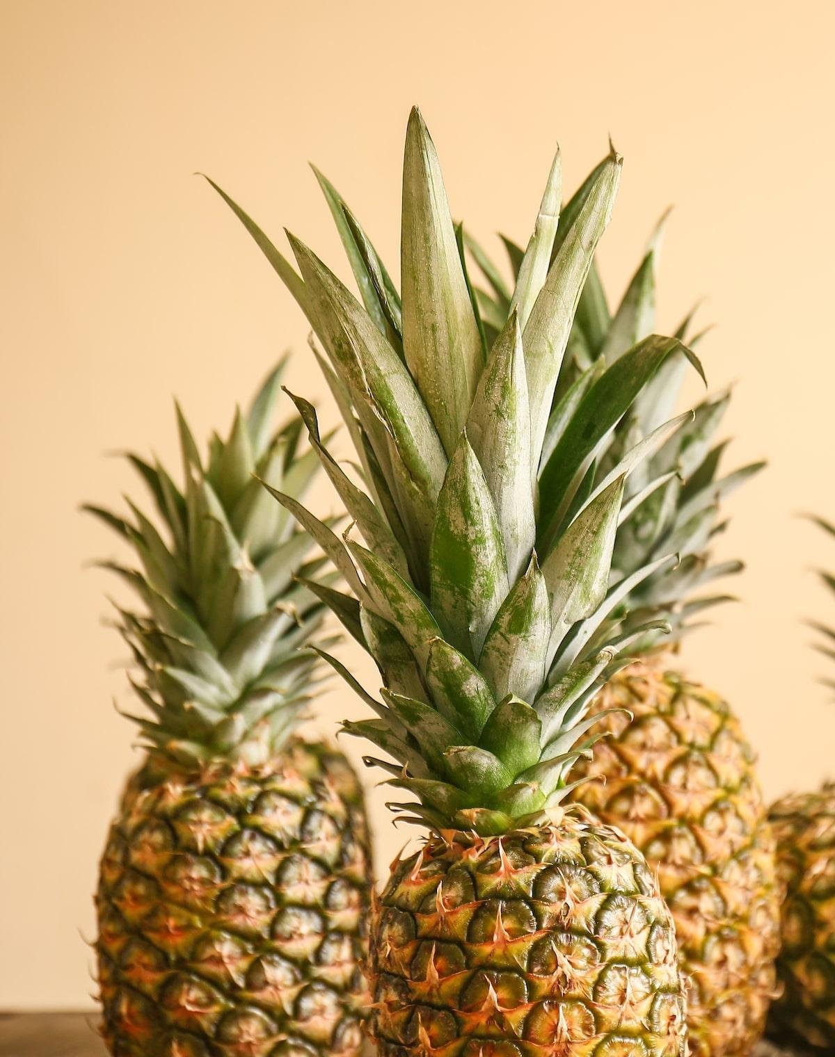 Abacaxi: saiba por que essa fruta faz tão bem à saúde e como aproveitá-la nas receitas