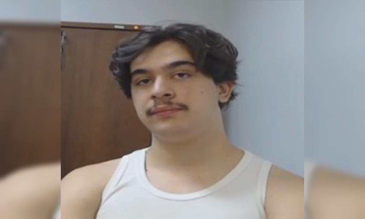 MP: Pedro Turra age em grupo e transforma agressões em espetáculo