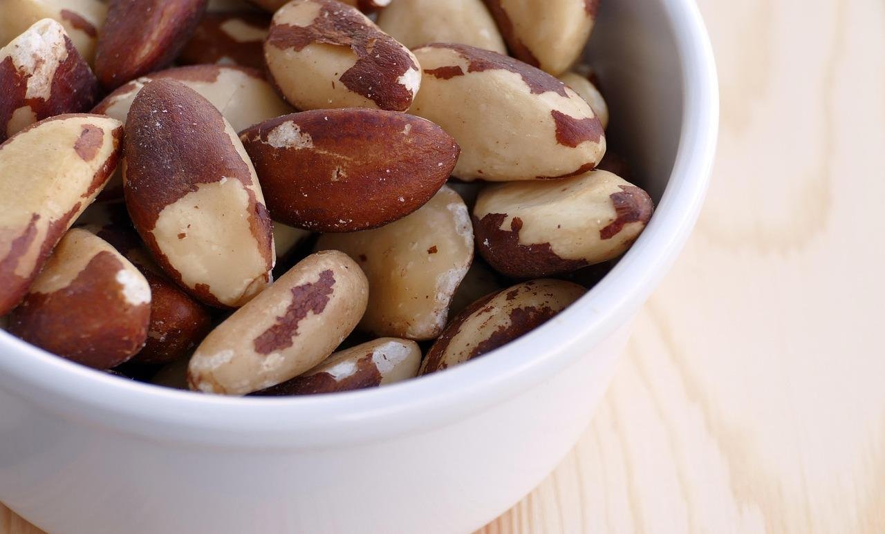 Brasil abre mercado da Turquia para exportação de castanha-do-Brasil