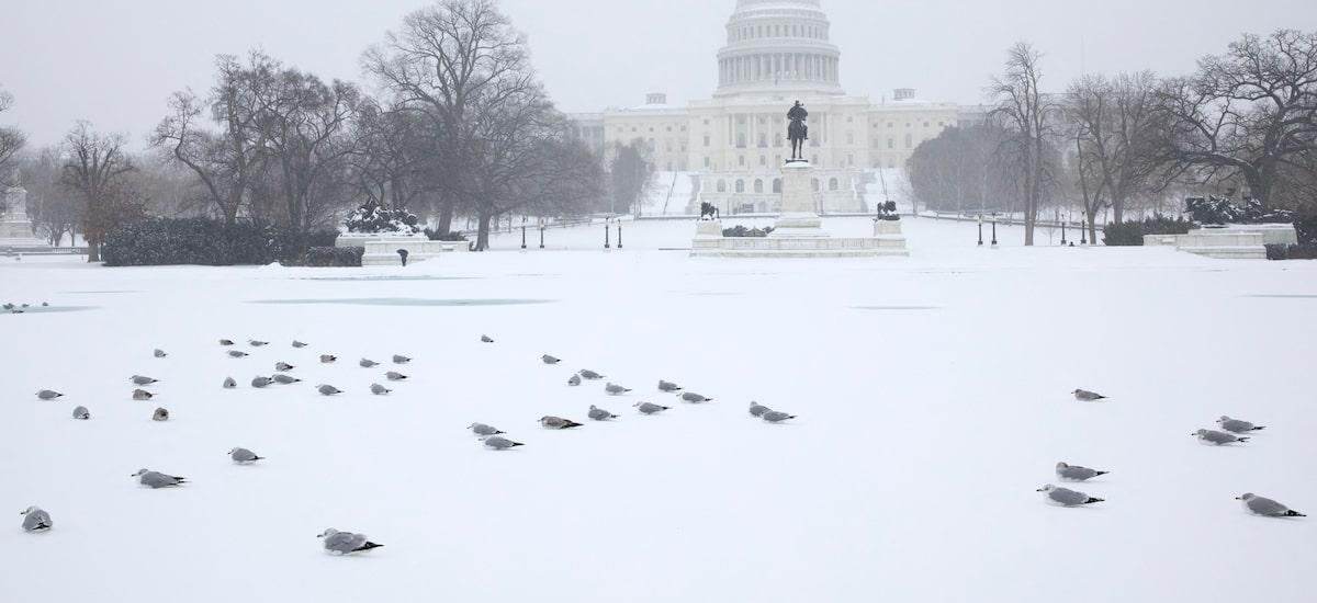 Tempestade de inverno histórica deixa pelo menos 25 mortos nos EUA