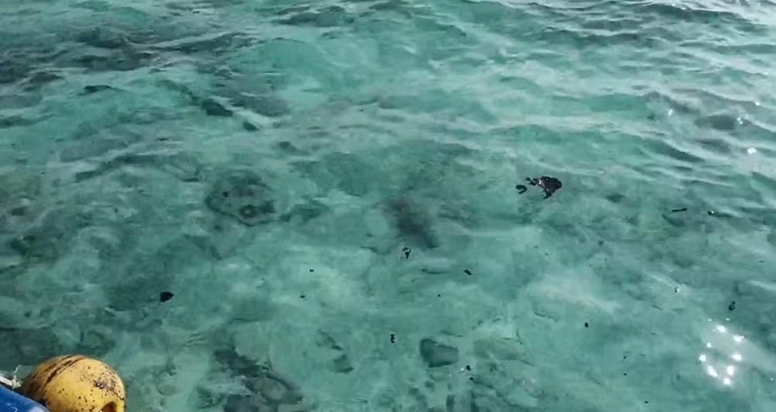 Petróleo vaza de cargueiro e atinge praias paradisíacas na Tailândia