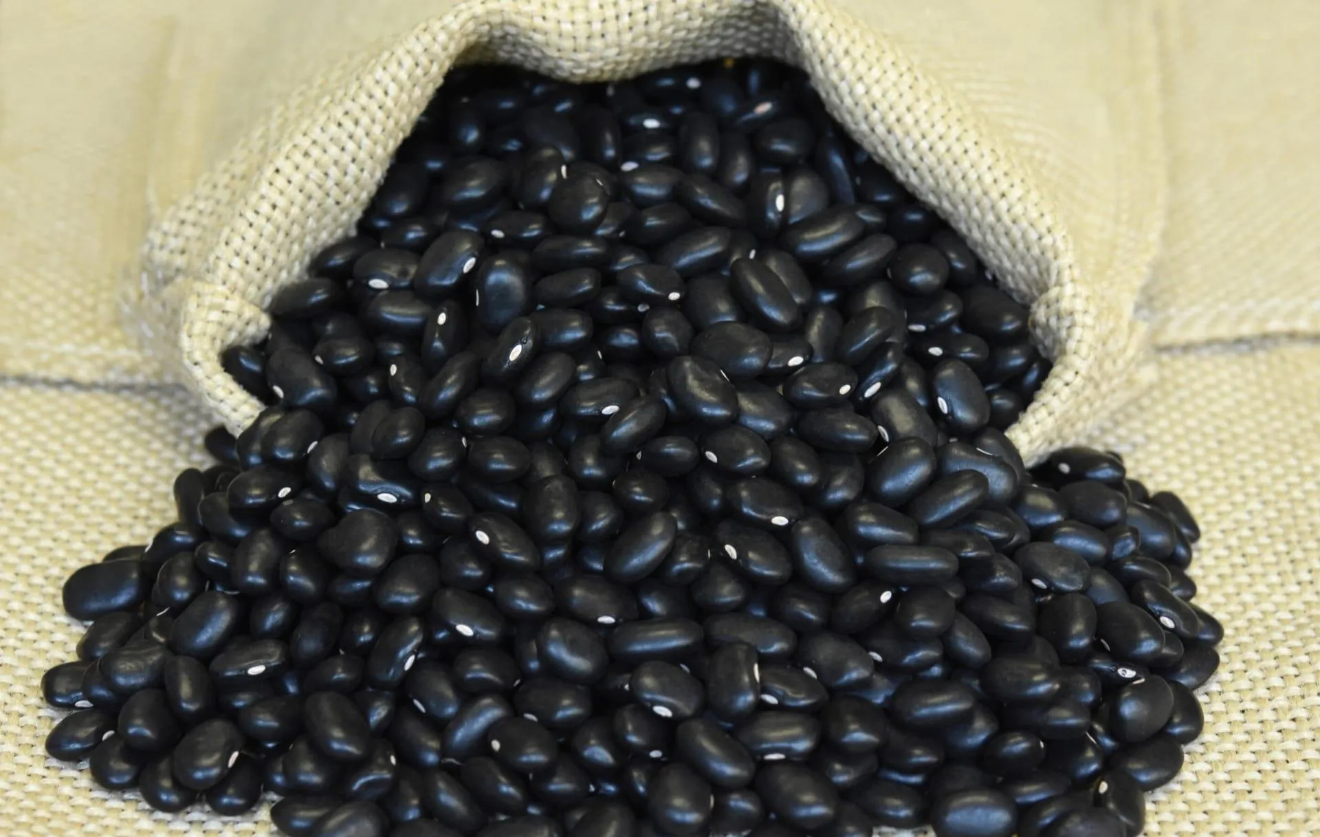 Safra de feijão deve atingir 3 milhões de toneladas em 2026, aponta IBGE