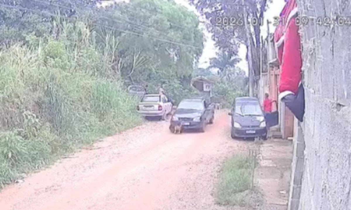 Homem é preso após atropelar e matar cachorro no interior de SP