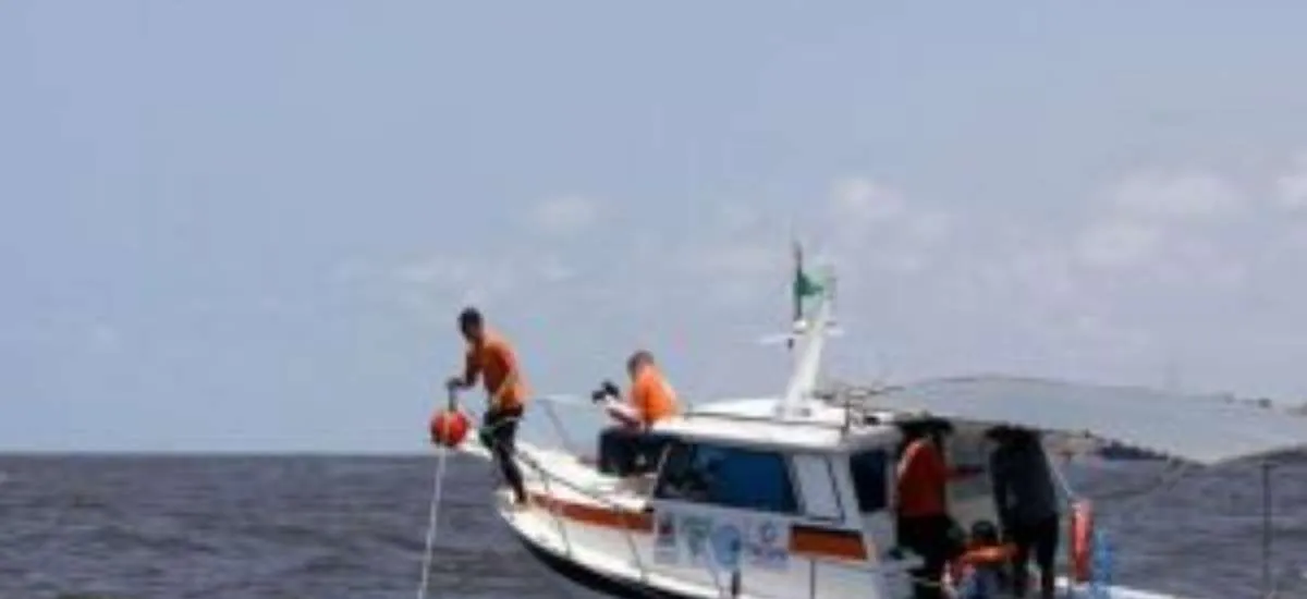 Pernambuco inicia operação para rastrear tubarões no litoral; veja como funciona