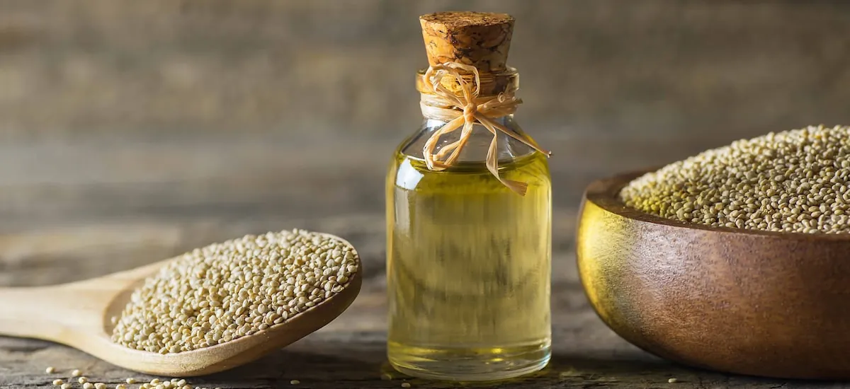 Por que incluir quinoa no cardápio? Veja benefícios e receitas saborosas com o grão