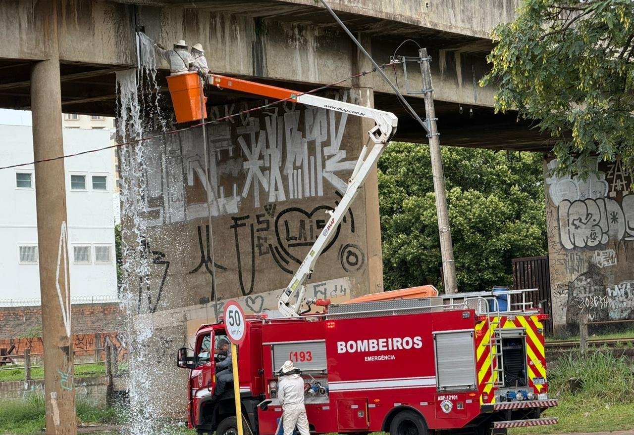 Enxame de abelhas ataca avó e dois netos no viaduto JK, em Bauru | G1