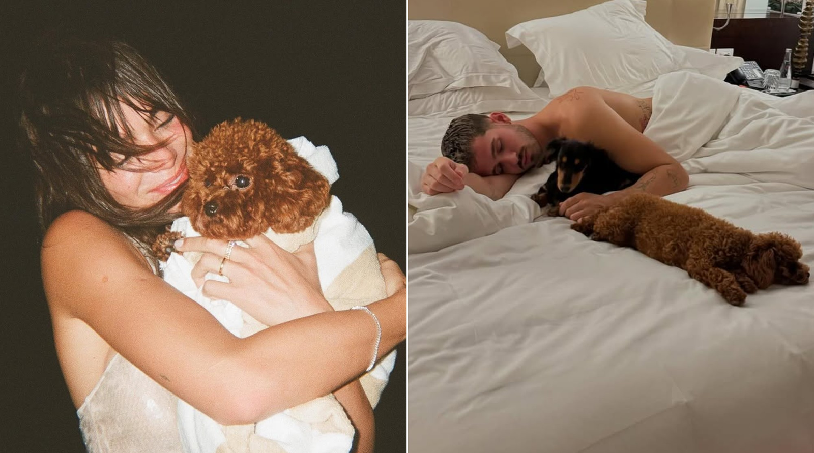 Em namoro com Shawn Mendes, Bruna Marquezine mantém guarda compartilhada de pets com exs; entenda