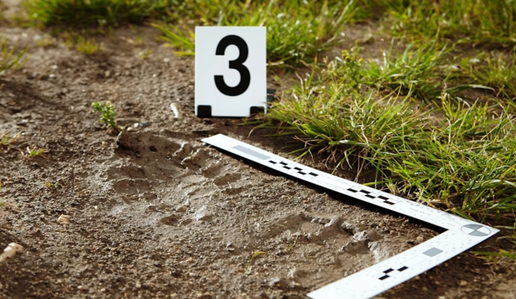 Pedologia forense: Unesp cria disciplina para investigar crimes | G1