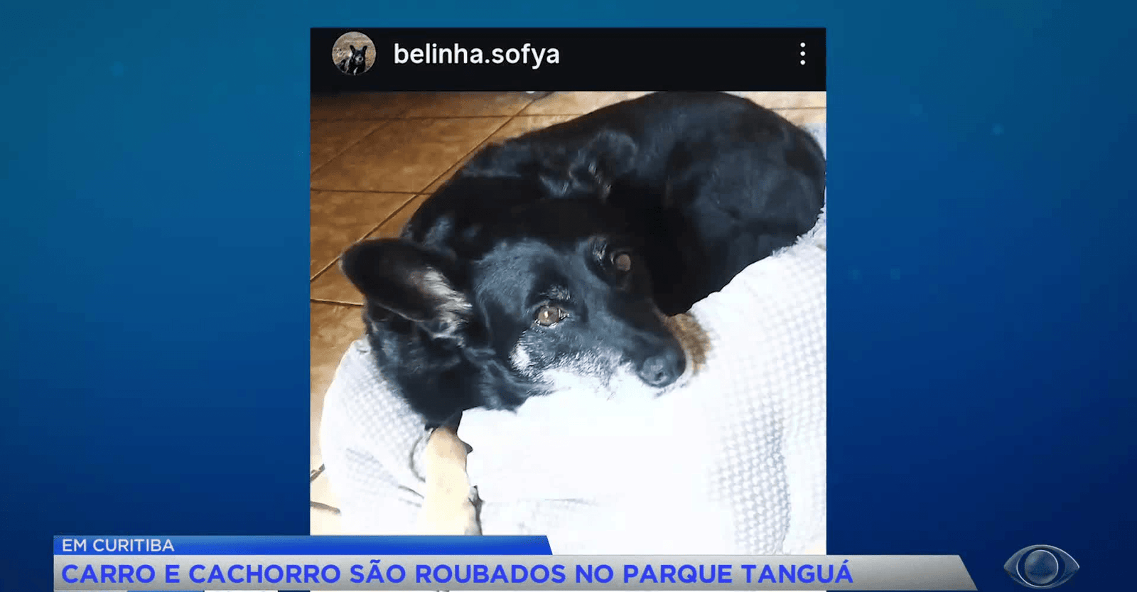 Homem tem carro e cachorro roubados no Parque Tanguá