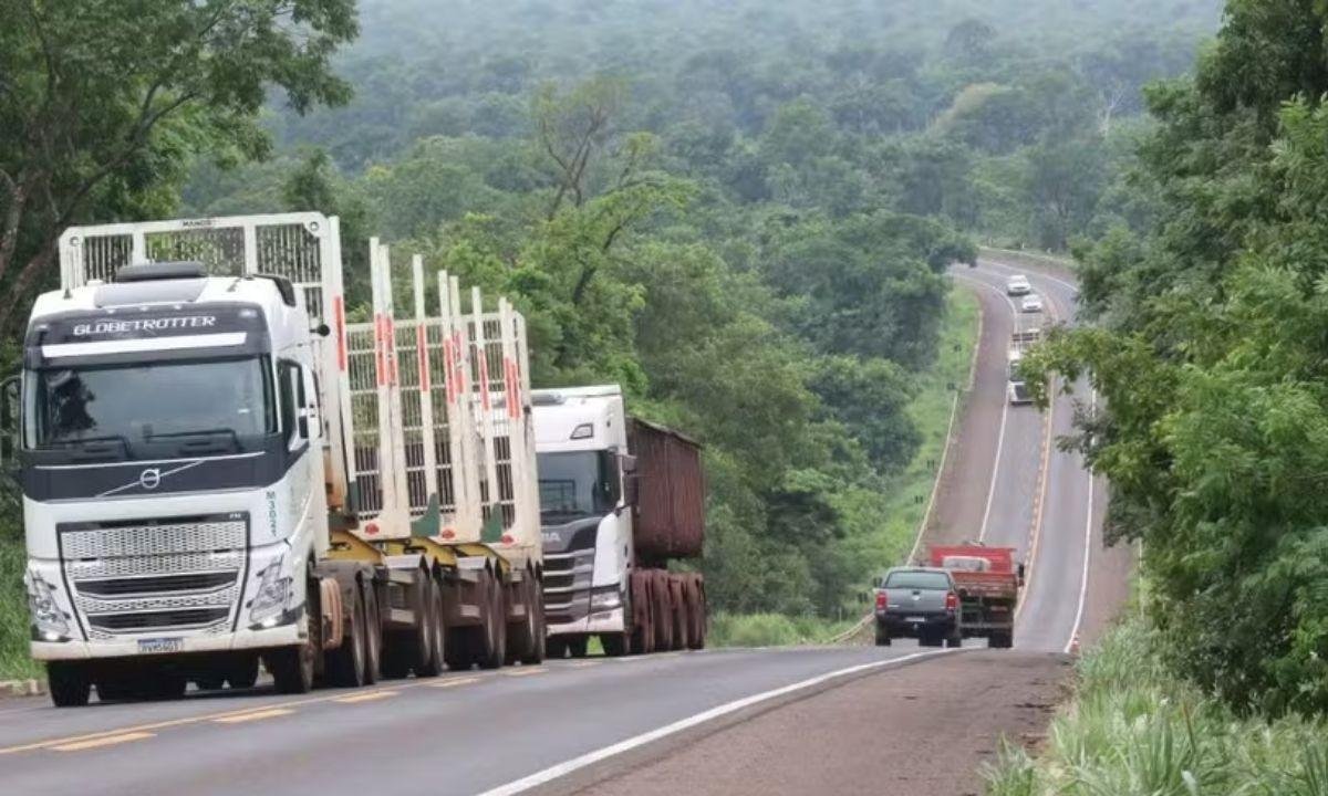 Rota da Celulose inicia recuperação de 150 km de rodovias | G1