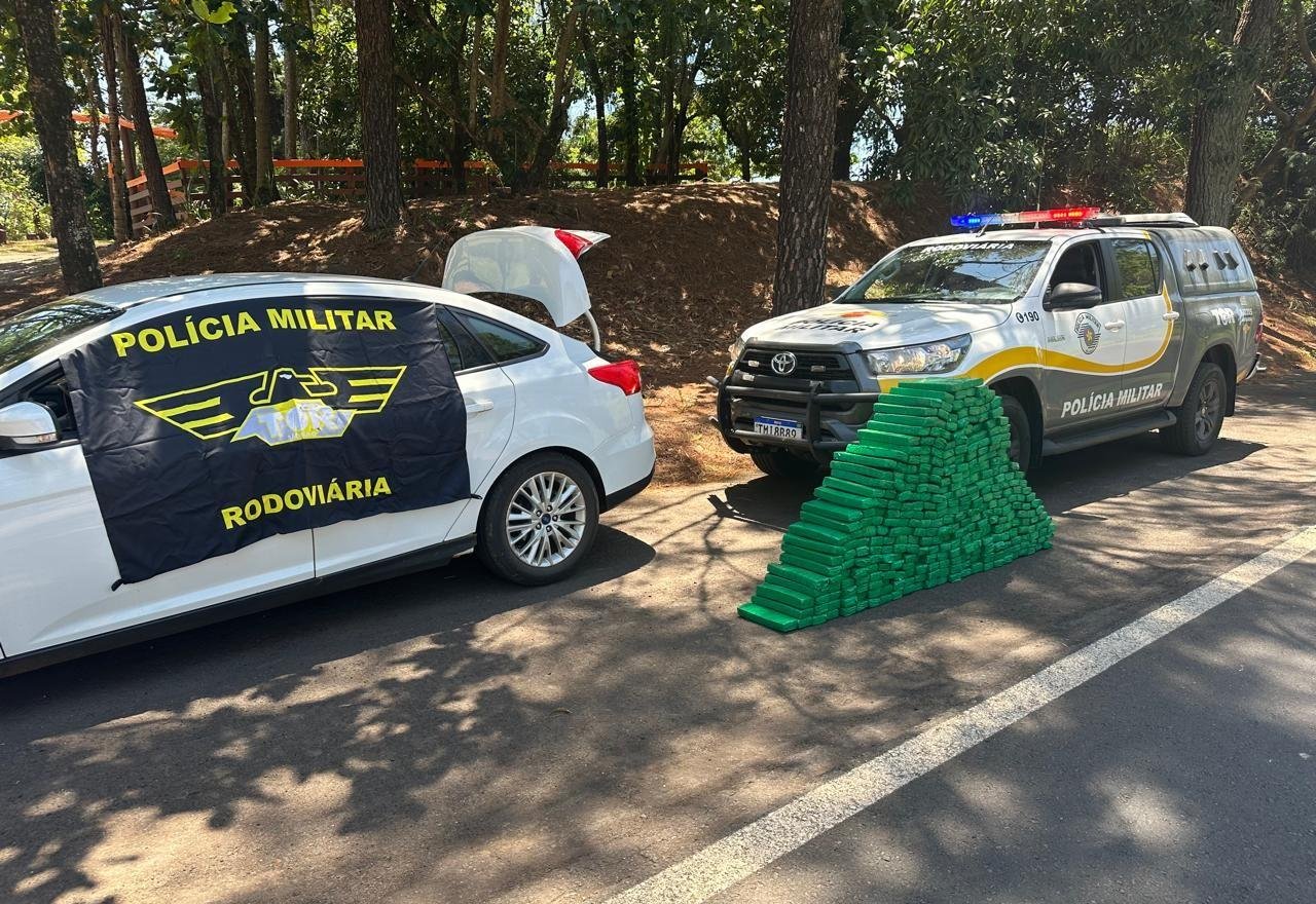 Motorista é preso ao transportar mais de 260 kg de maconha | G1