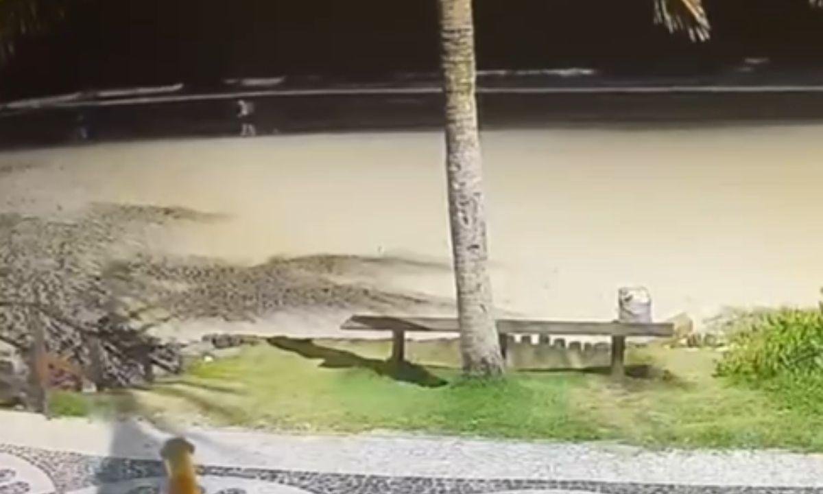 Caso Orelha: polícia descarta ligação de adolescentes com cão Caramelo