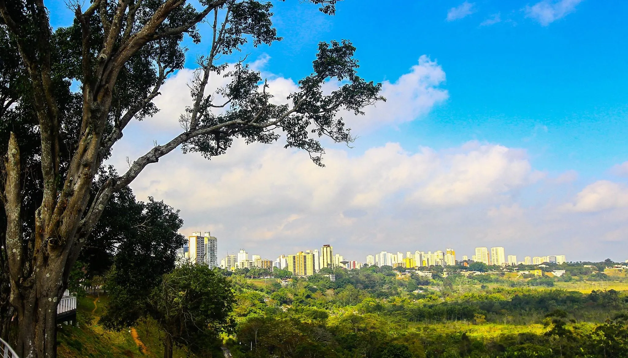 Fim de semana tem previsão de 'volta' do sol no Vale e região | G1