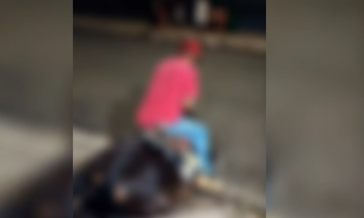 Cavalo cai de cansaço e polícia investiga suposto caso de maus-tratos