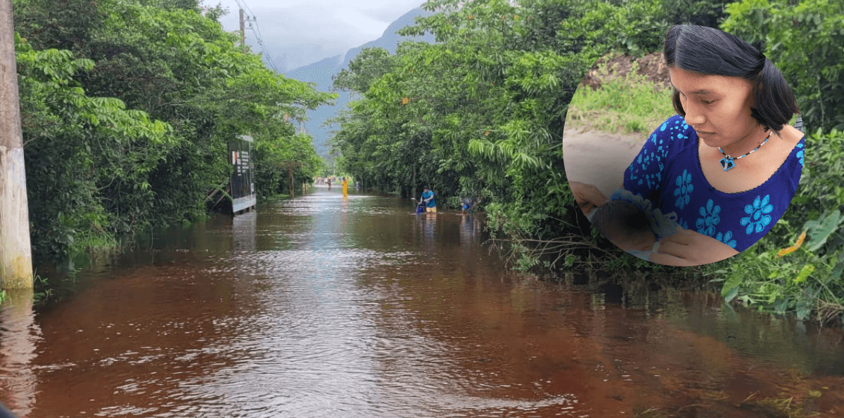 Defesa Civil resgata mãe e recém-nascido de aldeia alagada em São Sebastião