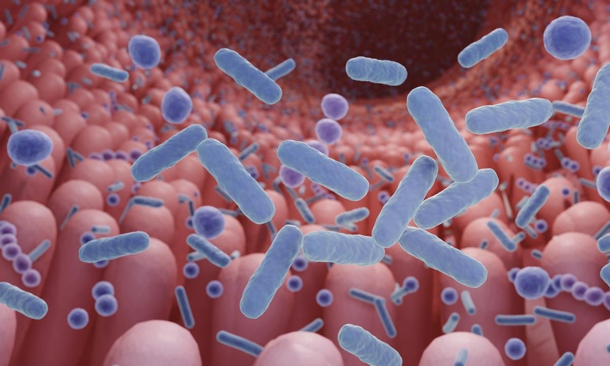 Coloproctologista lista os 5 melhores probióticos para o intestino