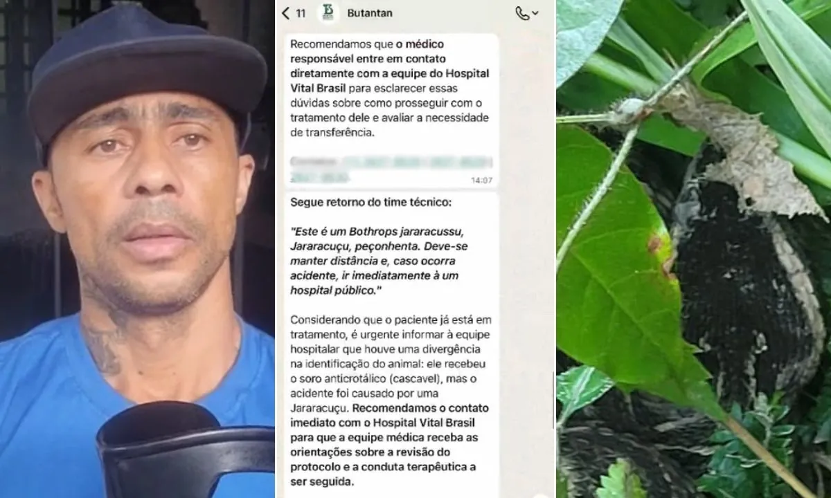 Homem picado por cobra recebe 20 doses de soro errado em SP