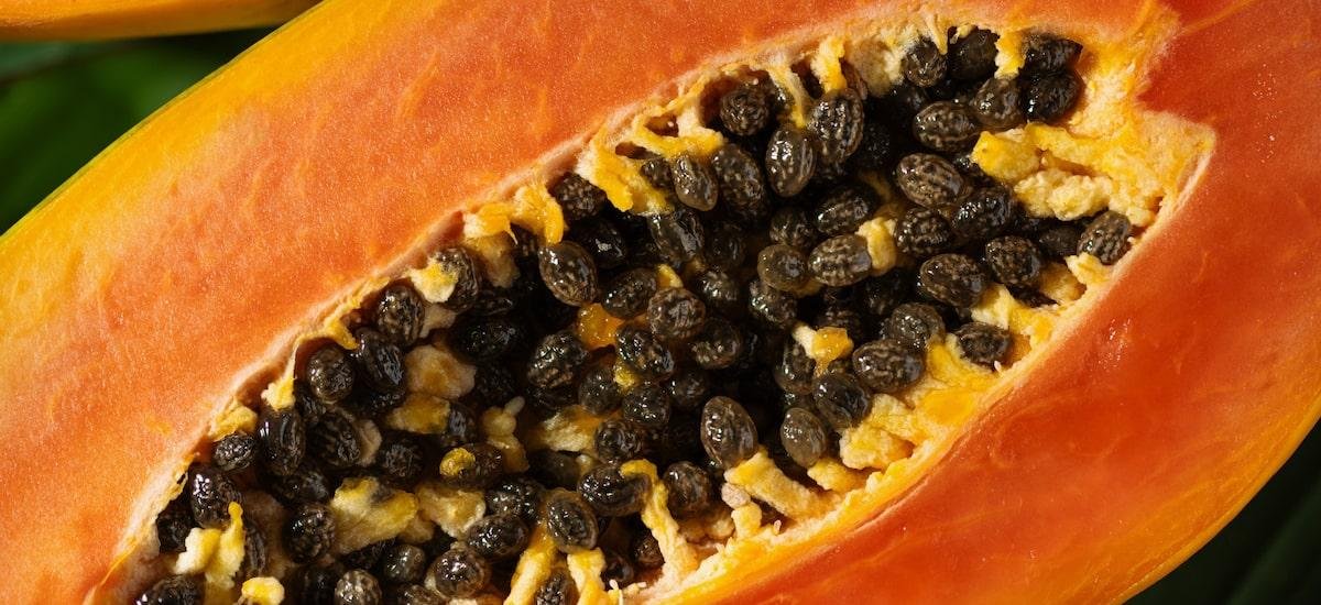 Sementes de mamão: descubra os benefícios e como usar a fruta na cozinha
