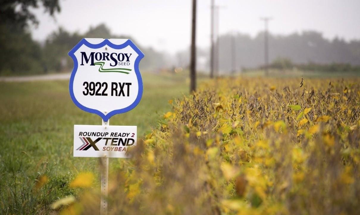 Bayer concorda em pagar US$ 7,25 bi para encerrar processos sobre seu herbicida Roundup