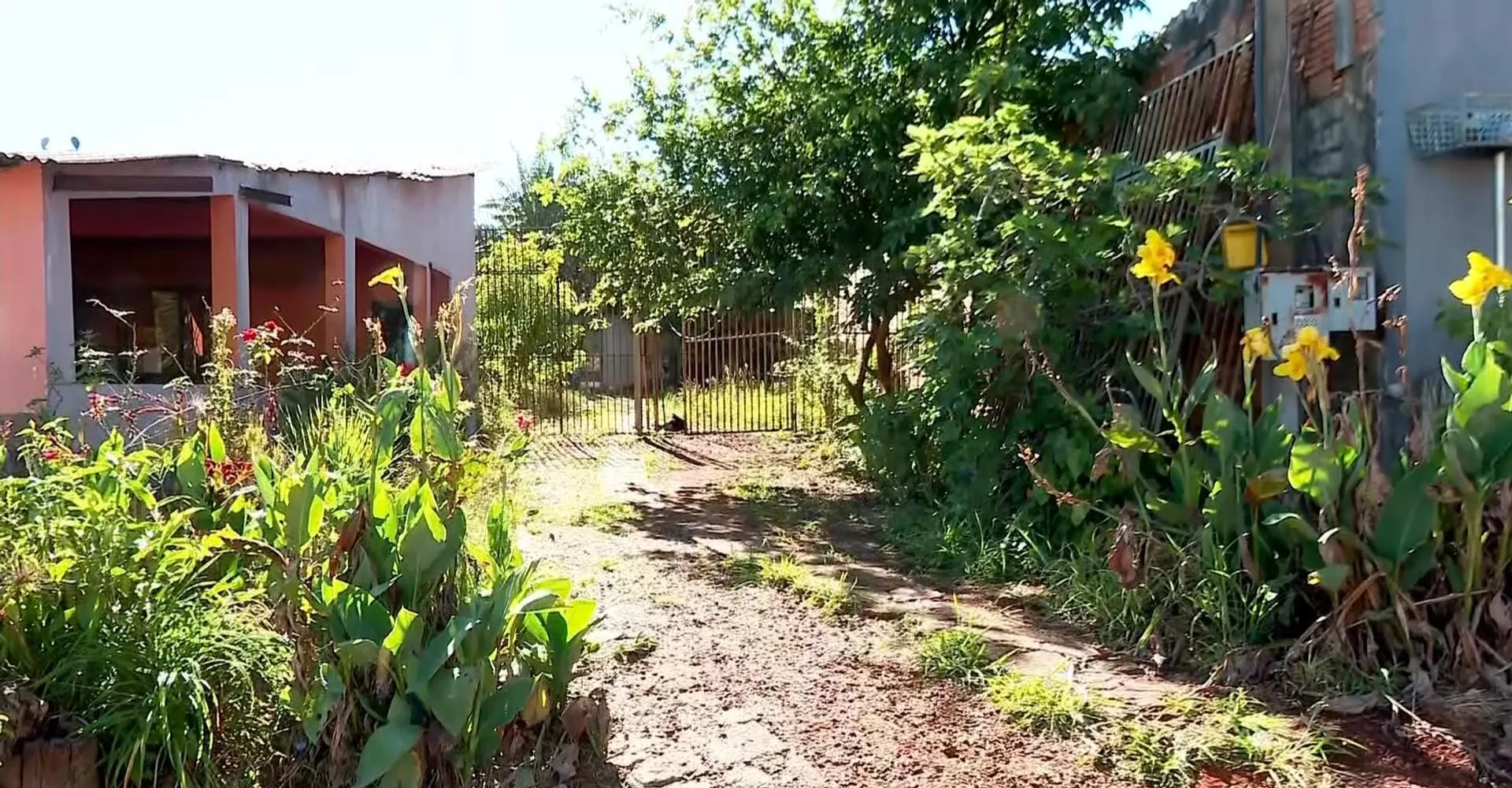 Homem é morto ao cobrar aluguel atrasado de inquilino em Cascavel | G1