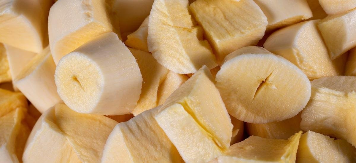 Mandioca além do básico: 4 motivos para incluir a raiz no cardápio