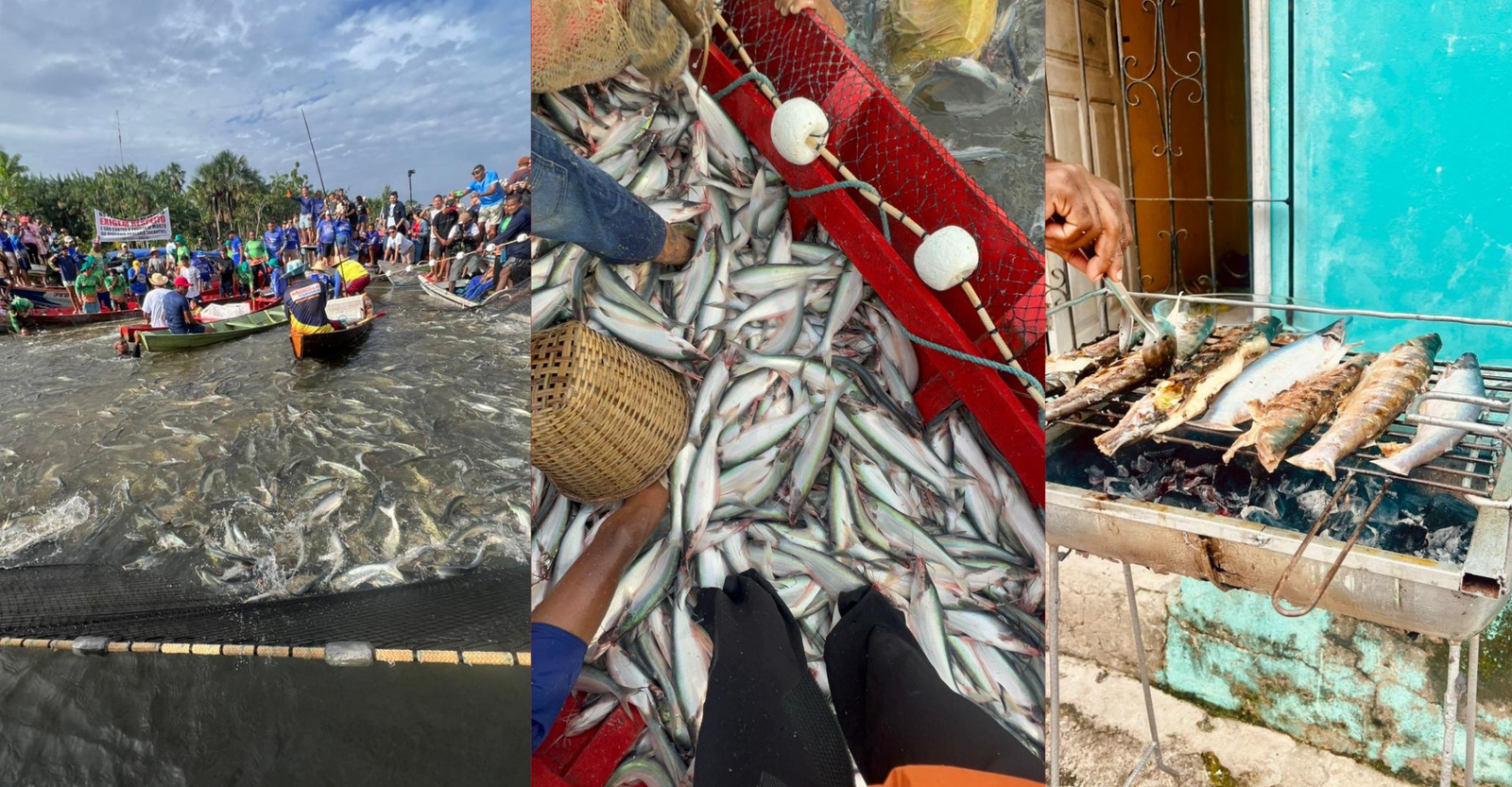 Tradicional pesca do mapará mobiliza centenas de pescadores no PA | G1