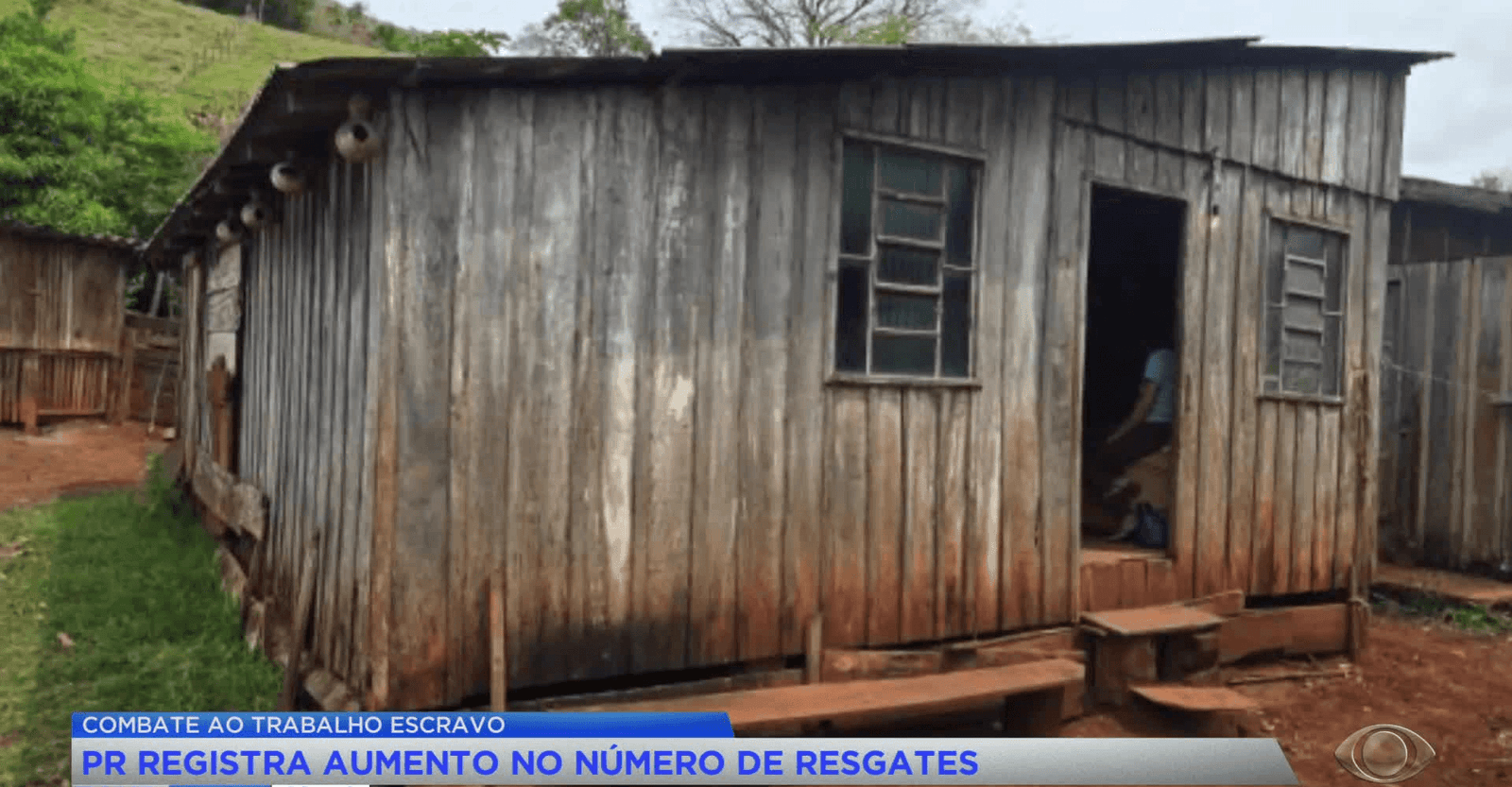 Resgates de trabalho análogo à escravidão sobem 44% no PR