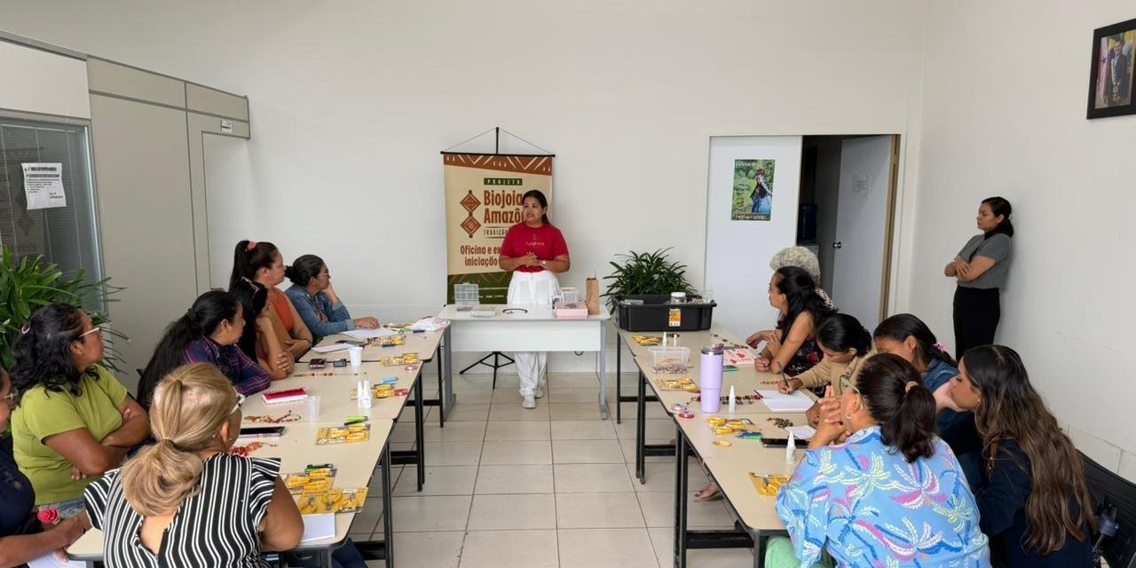 Biojoias da Amazônia: Mulheres de Santarém criam peças com sementes | G1